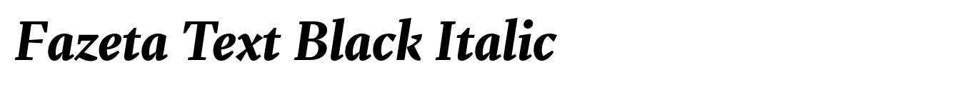 Fazeta Text Black Italic image